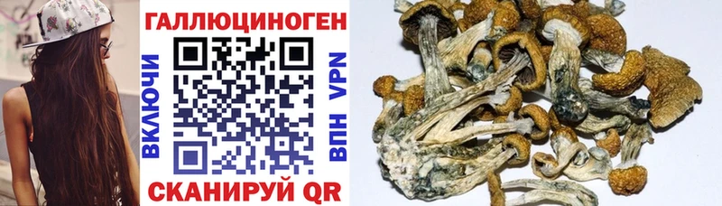 Псилоцибиновые грибы Cubensis  hydra ONION  Лобня  где найти наркотики 